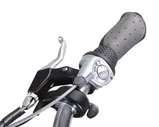 Электровелосипед WELLNESS CROSS RACK (750W 36v/15Ah)
