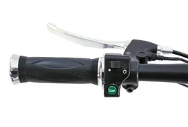 Электровелосипед Wellness Husky 350 в Екатеринбурге