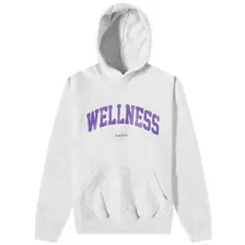 Толстовка худи Sporty & Rich с принтом Wellness, серого цвета