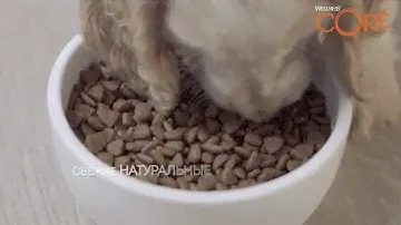 WELLNESS CORE  Щенки