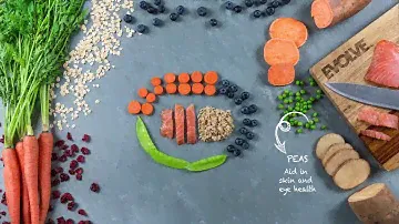 Evolve Classic: Salmon, Brown Rice, and Sweet Potato Recipe Cat Food