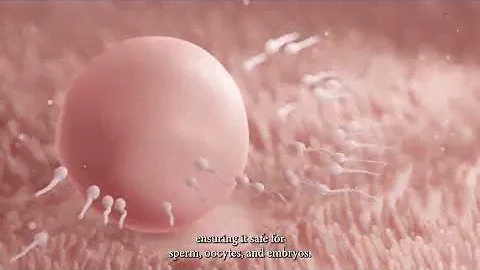 New Conceptria | Water-Based Lubricant