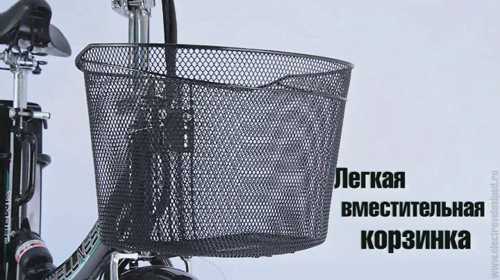Электровелосипед Wellness Simple 350W