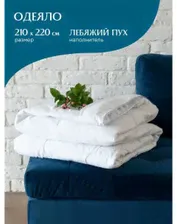 Одеяло wellness 210x205 лебяжий пух 001