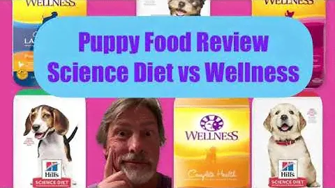 How do Large Breed Puppy foods compare? Science Diet vs Wellness review