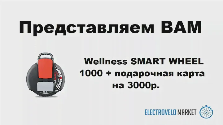 Wellness SMART WHEEL 1000