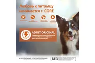 Корм Wellness CORE из индейки с курицей для взрослых собак средних пород 10 кг