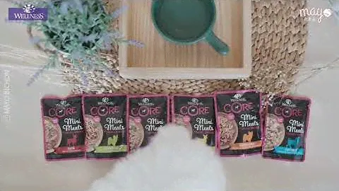 Mayo Bichon Favorite food, Wellness Core — Mini Meals