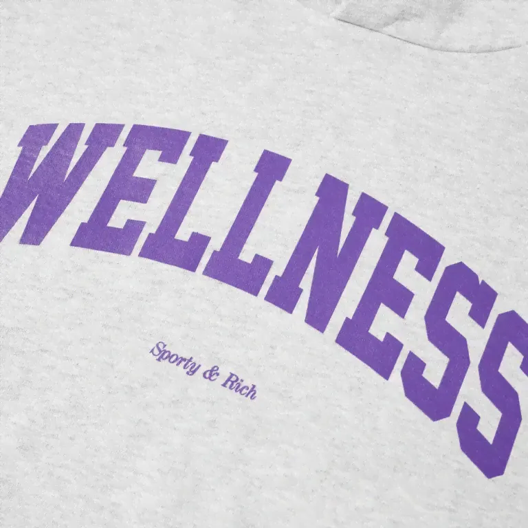 Толстовка худи Sporty & Rich с принтом Wellness, серого цвета-2