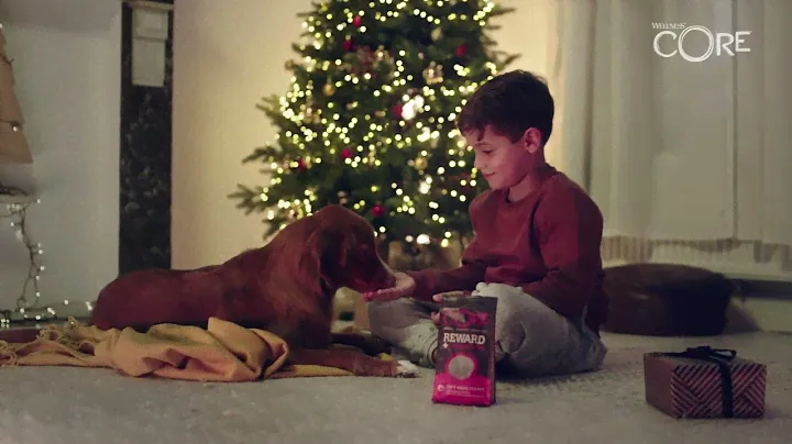 Wellness CORE Dog Reward+ Treats