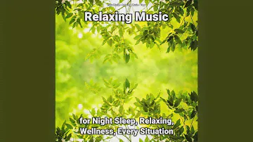 Relaxing Music for Wellness Pt. 68