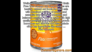 Wellness Natural Grain Free Wet Canned Cat Food, Chicken Pate, 12.5-Ounce Can (Pack Of 12)