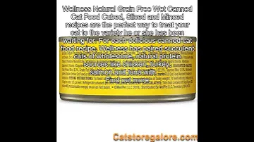 Wellness Complete Health Natural Grain Free Wet Canned Cat Food, Minced Chicken Dinner, 5.5-Ounce C