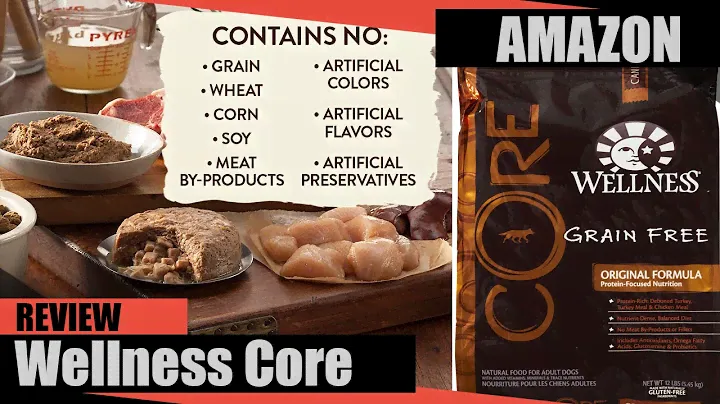 Wellness Core Natural Grain Free Dry Dog Food Review