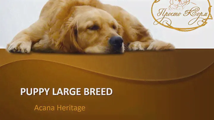 Корм ACANA Adult Large Breed