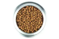 Корм Wellness CORE из индейки с курицей для взрослых собак средних пород 10 кг